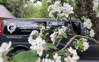 Notre fourgonnette de voyage